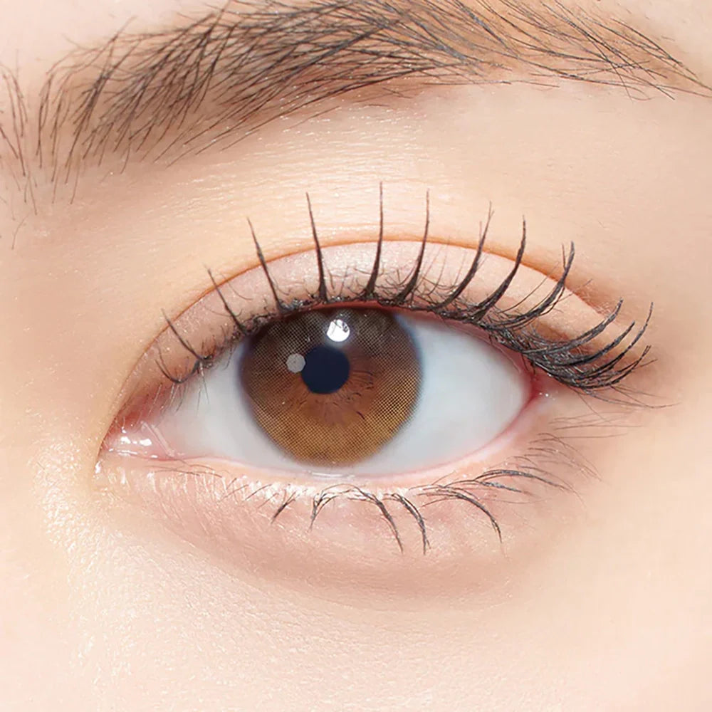 Secretive Kristin Basic Brown